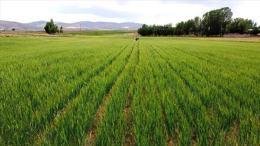 Sadece 73 bin TL’ye arsa fırsatı! Milli Emlak’tan devlet garantili imarlı arazi satışı başladı 7